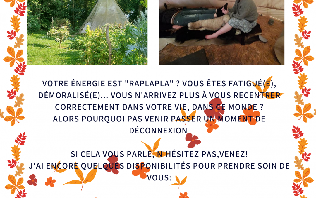 Disponibilités du 4 au 8  décembre