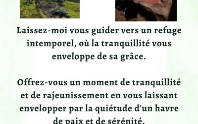 Les disponibilités du 13 au 17 Mai