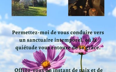 Les disponibilités du 20 au 24 mai