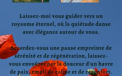 Les disponibilités du 24 au 28 Juin