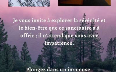 Les disponibilités du 27 au 30 Janvier