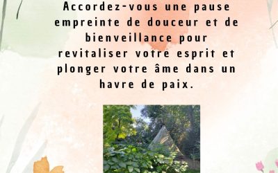 Les disponibilités du 8 au 12  septembre