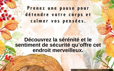 Les disponibilités du 03 au 07 novembre