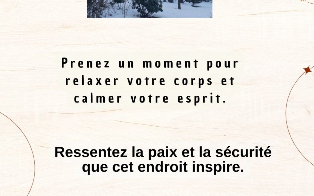 Les disponibilité du 24 au 28 novembre