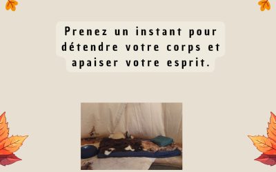 Les disponibilité du 01 au 05 décembre