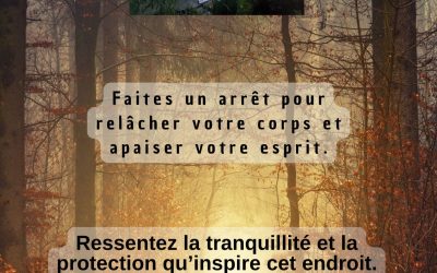 Les disponibilités du 10 au 14 novembre :