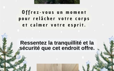 Les disponibilités du 08 au 12 décembre