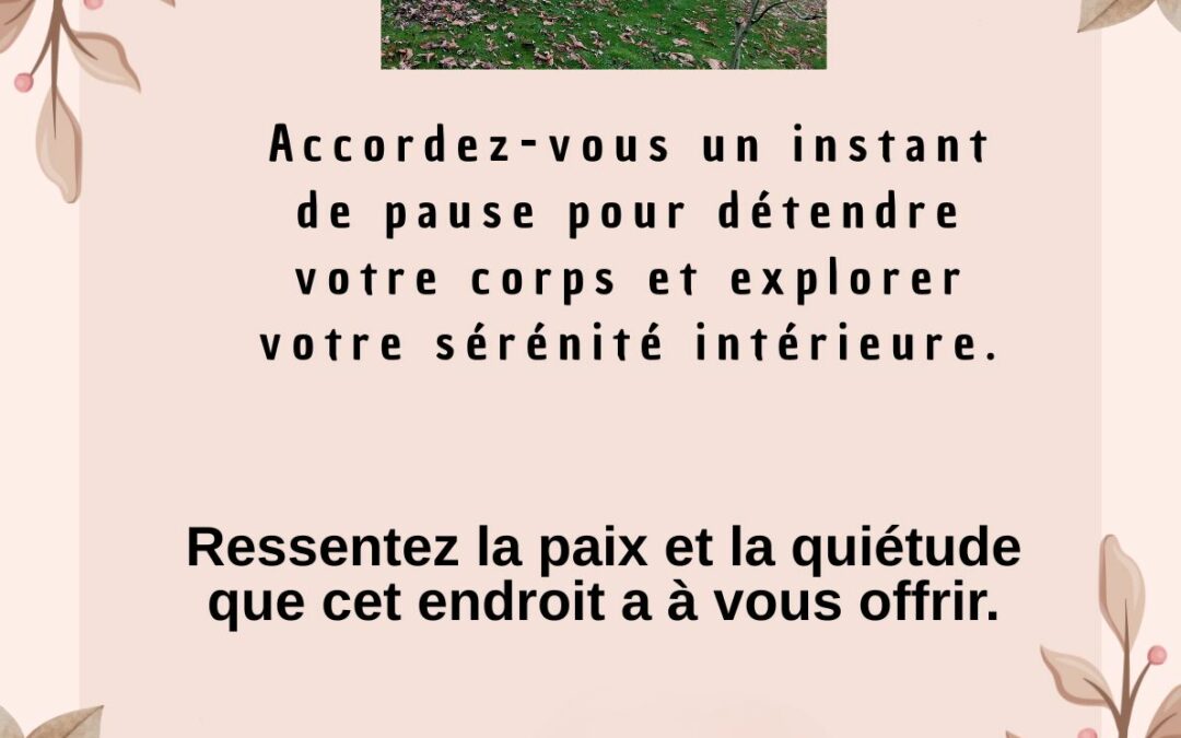Les disponibilités du 27 au 30 janvier