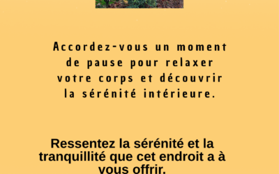 Les disponibilités du 19 au 13 janvier