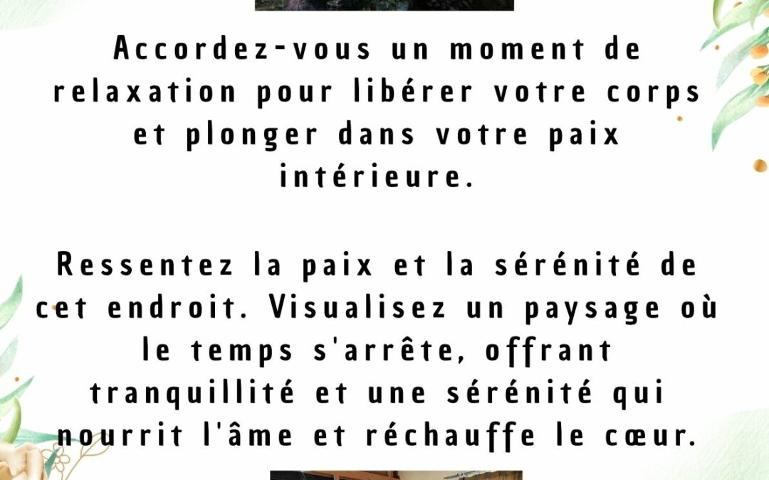 Les disponibilités du 16 au 20 février :