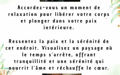 Les disponibilités du 16 au 20 février :