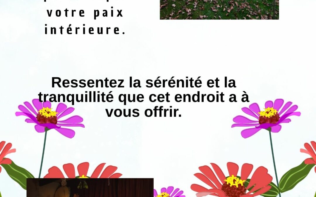 Les disponibilités du 09 au 13 février