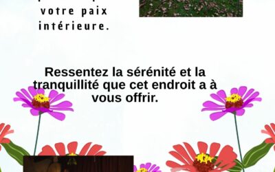 Les disponibilités du 09 au 13 février