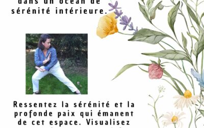 Les disponibilités du 04 au 08 mai