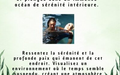 Les disponibilités du 15 au 19 juin